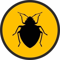 bed bug pest control edmonton