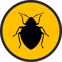 Bed Bug Control