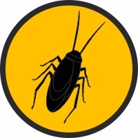 cockroaches pest control edmonton