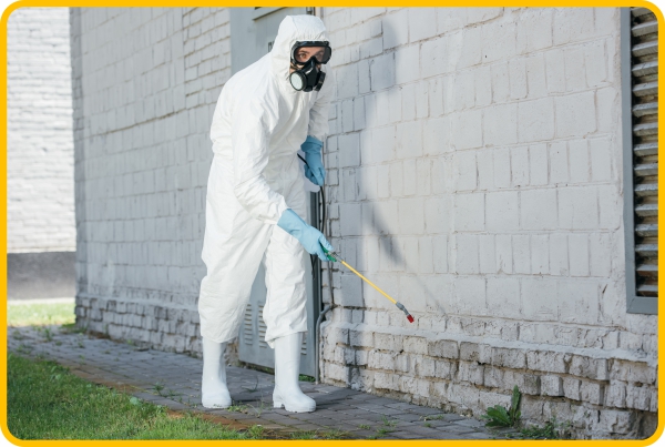 edmonton exterminator spraying