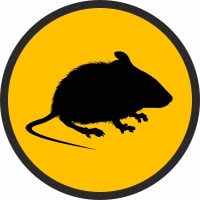 mice pest control edmonton