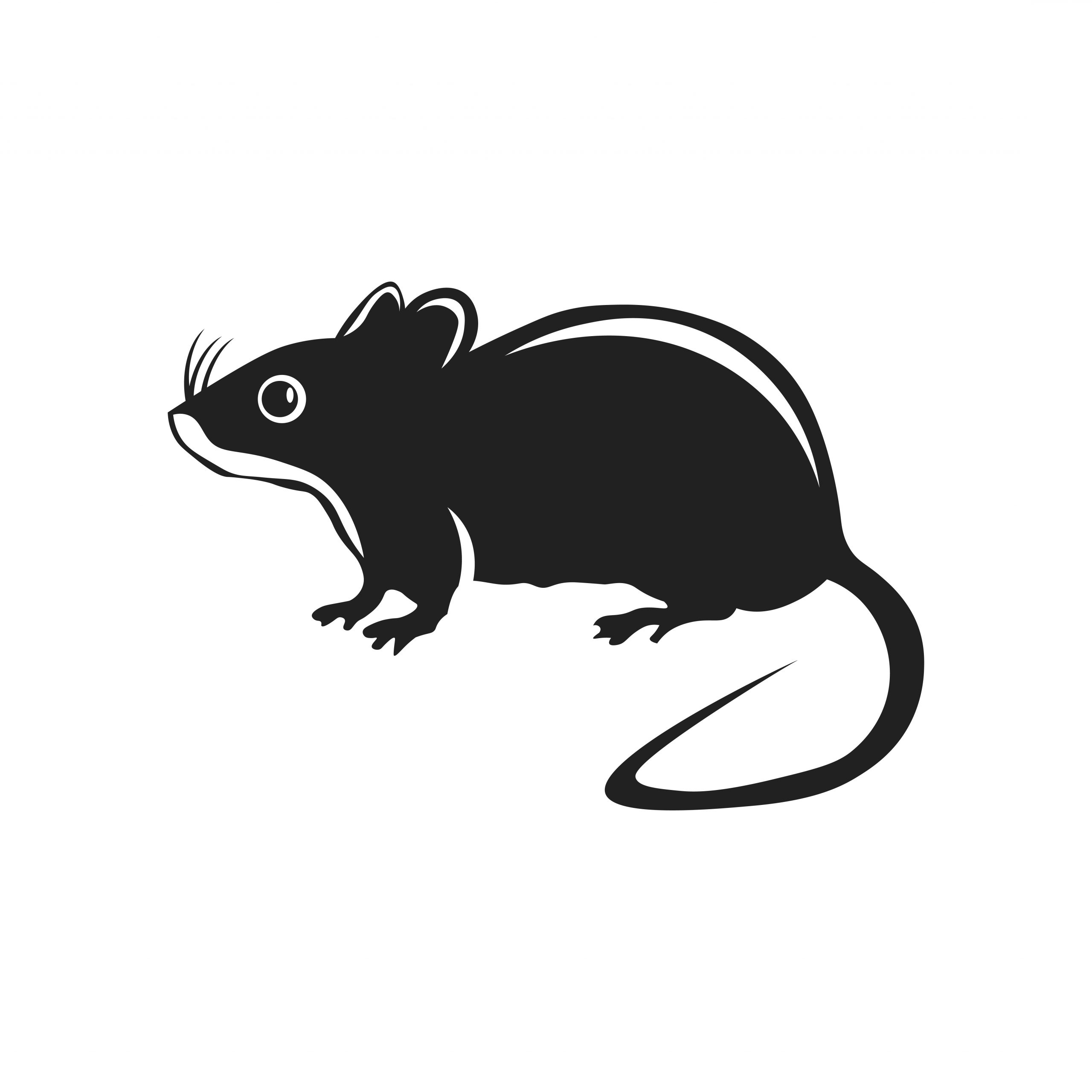 Mouse Exterminator Edmonton Branch Top-Rated Mice Control