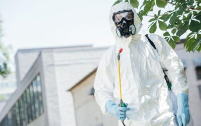 HOW TO CHOOSE AMONG THE BEST EDMONTON EXTERMINATORS