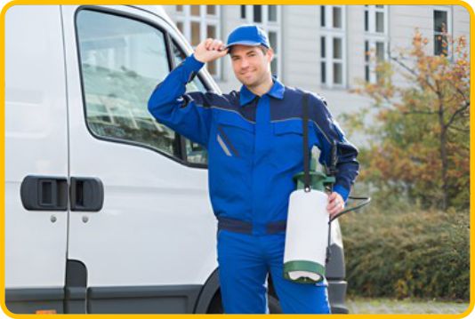 Pest control edmonton